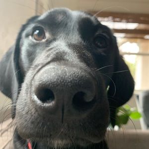 Meet your Posher, Marta